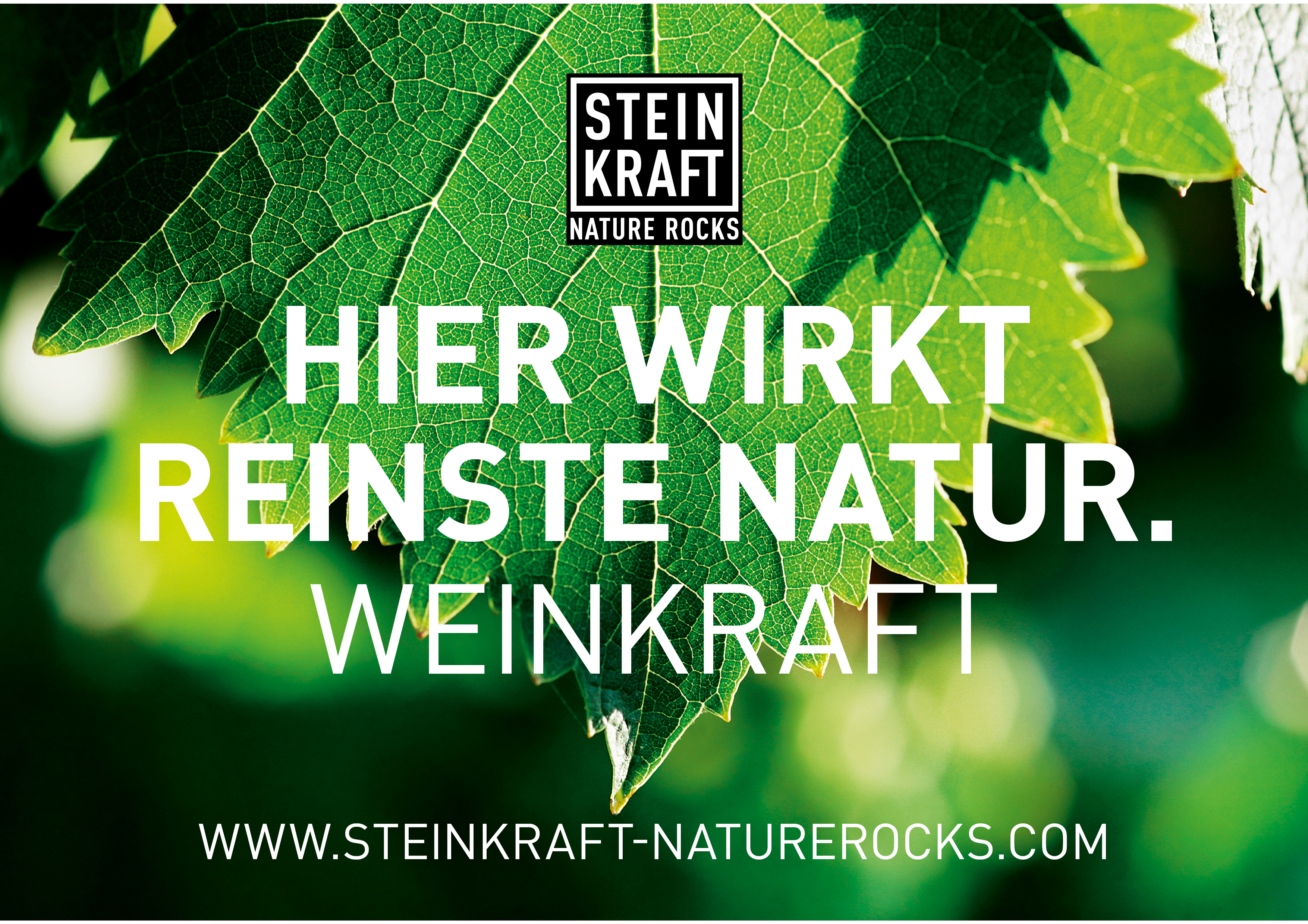 STEINKRAFT